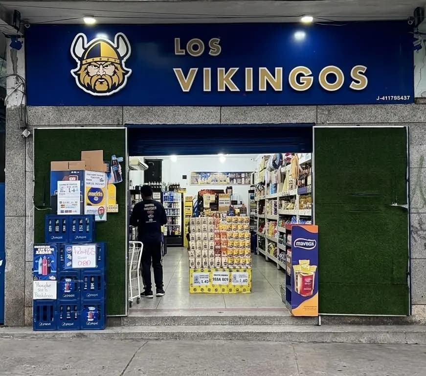 Inversiones los Vikingos 2018